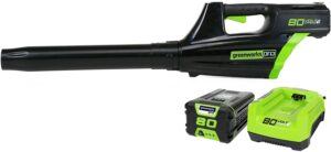 Greenworks Pro 80V Cordless Brushless Axial Blower