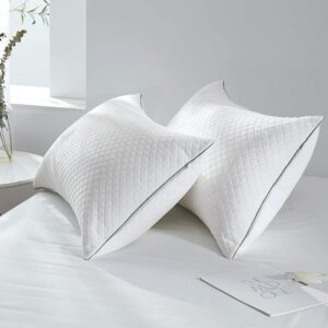 适合腹部睡眠的枕头 Pillows for Sleeping 2 Pack Adjustable Hypoallergenic Velvet Hotel Pillows