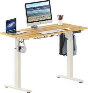 SHW Memory Preset Electric Height Adjustable Standing Desk 升降桌