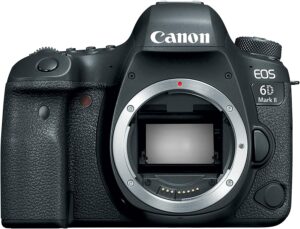 用于微距摄影的最佳佳能单反相机：佳能 EOS 6D Mark II