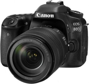 用于鸟类摄影的最佳佳能单反相机：佳能 EOS 80D