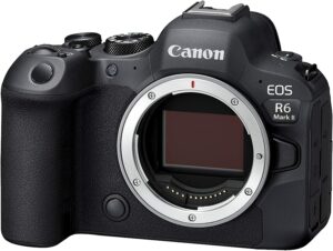 最佳电影摄像机：Canon EOS R6 Mark II 